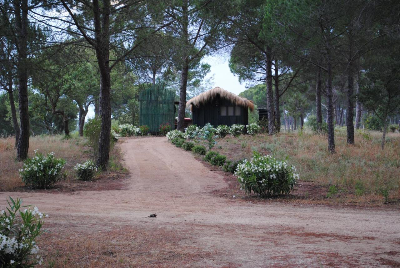 Ying Yang Monte da Lua Villa Comporta Bagian luar foto