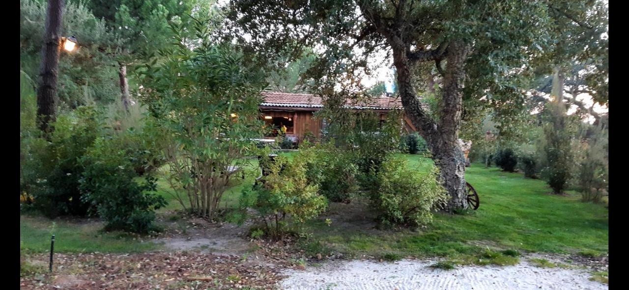 Ying Yang Monte da Lua Villa Comporta Bagian luar foto