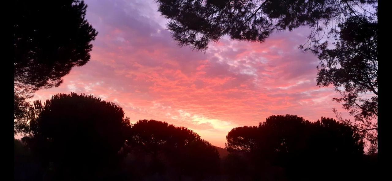 Ying Yang Monte da Lua Villa Comporta Bagian luar foto