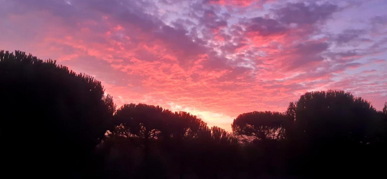 Ying Yang Monte da Lua Villa Comporta Bagian luar foto