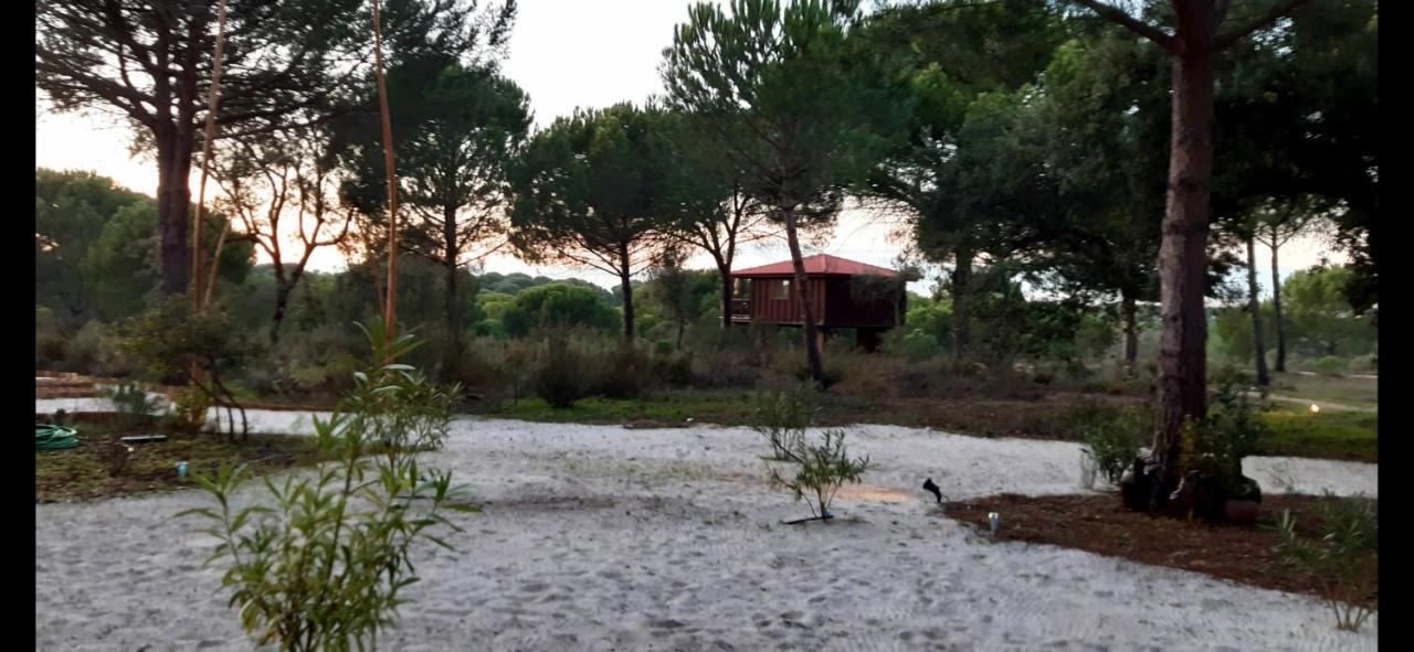 Ying Yang Monte da Lua Villa Comporta Bagian luar foto
