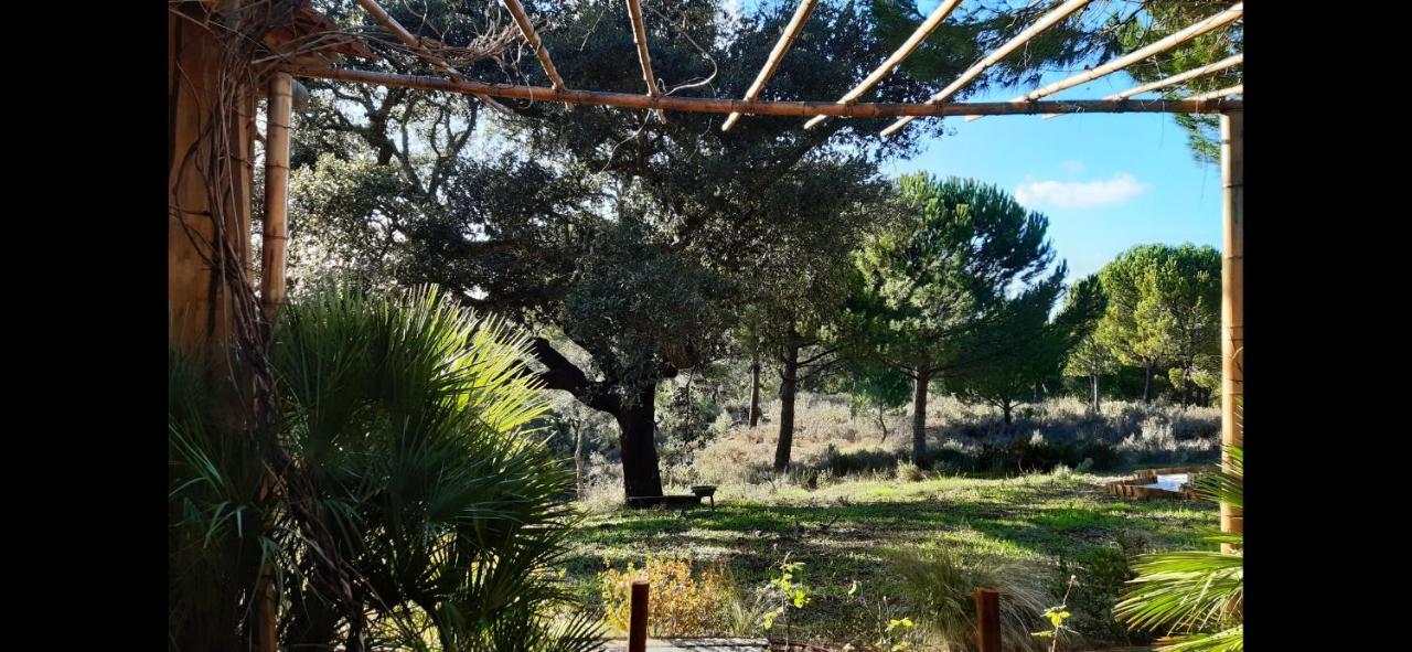 Ying Yang Monte da Lua Villa Comporta Bagian luar foto