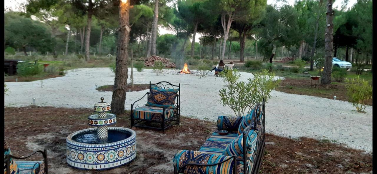 Ying Yang Monte da Lua Villa Comporta Bagian luar foto