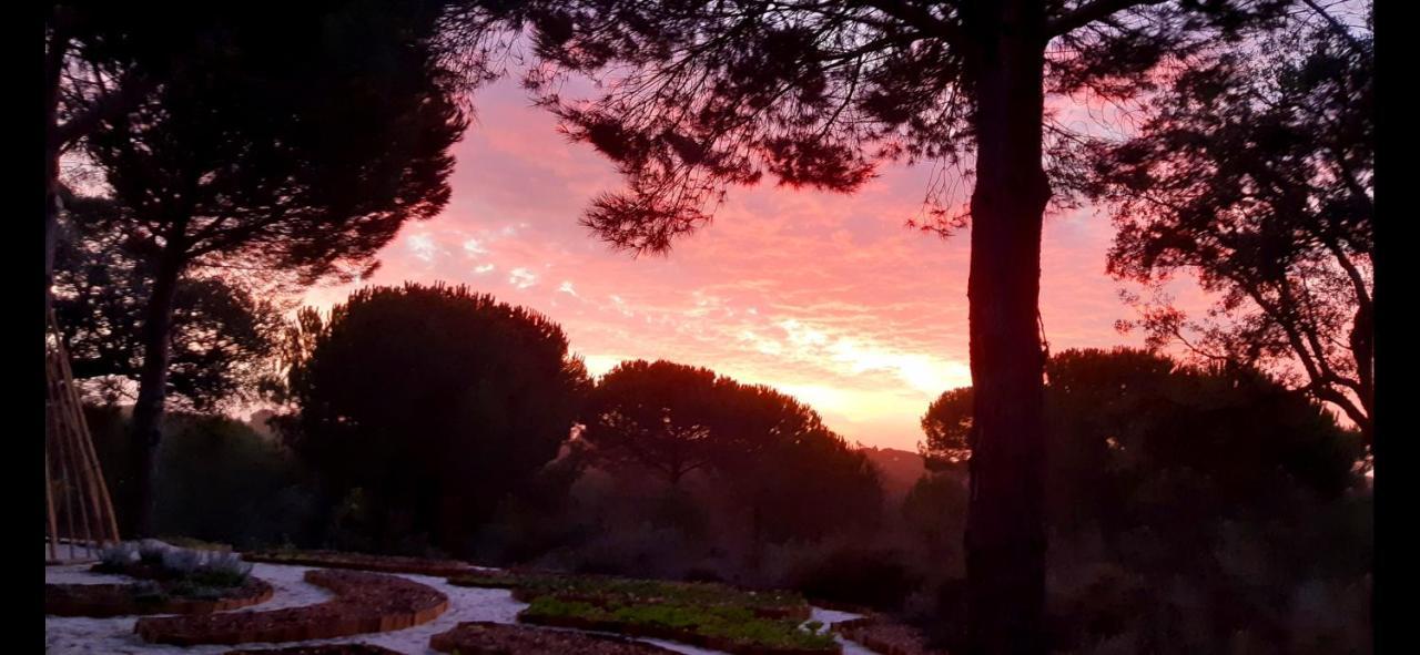 Ying Yang Monte da Lua Villa Comporta Bagian luar foto